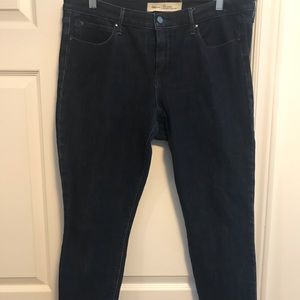 1969 GAP denim high rise true skinny jeans
